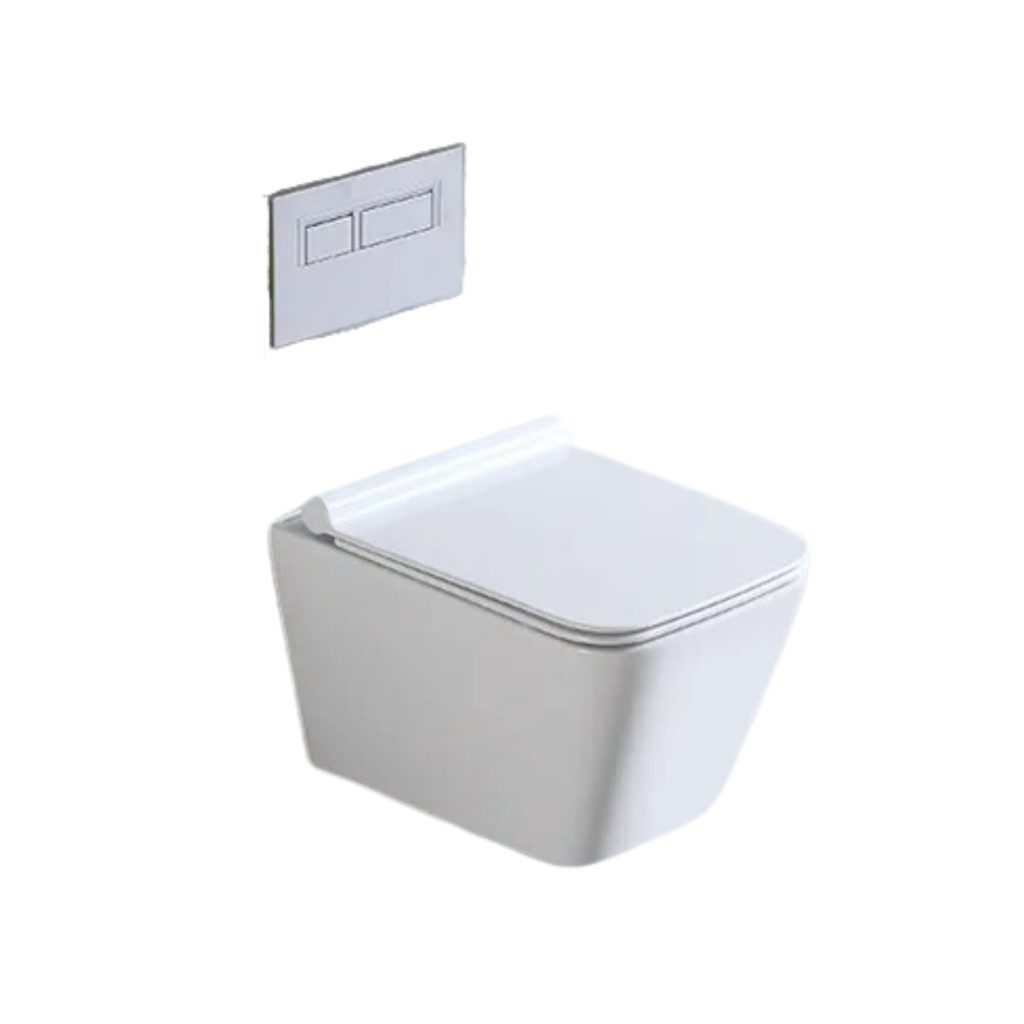 Wall Mount Water Closet (W808)