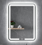 LED Mirror (1001)